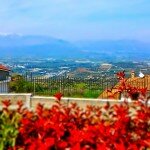 Effetto5